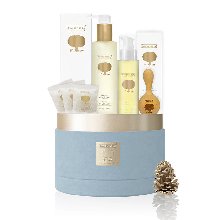 Awakening Daylight Hamper