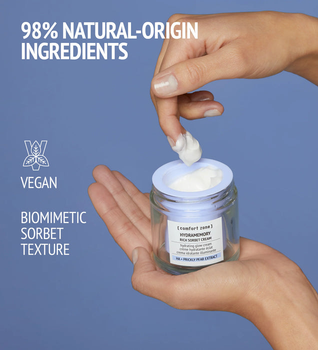 Hydramemory Rich Sorbet Cream Refill 50ml