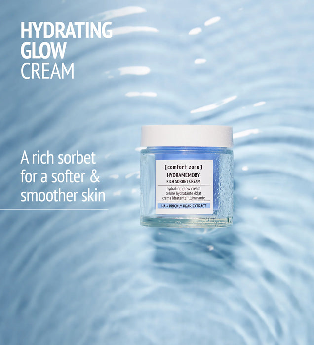 Hydramemory Rich Sorbet Cream Refill 50ml